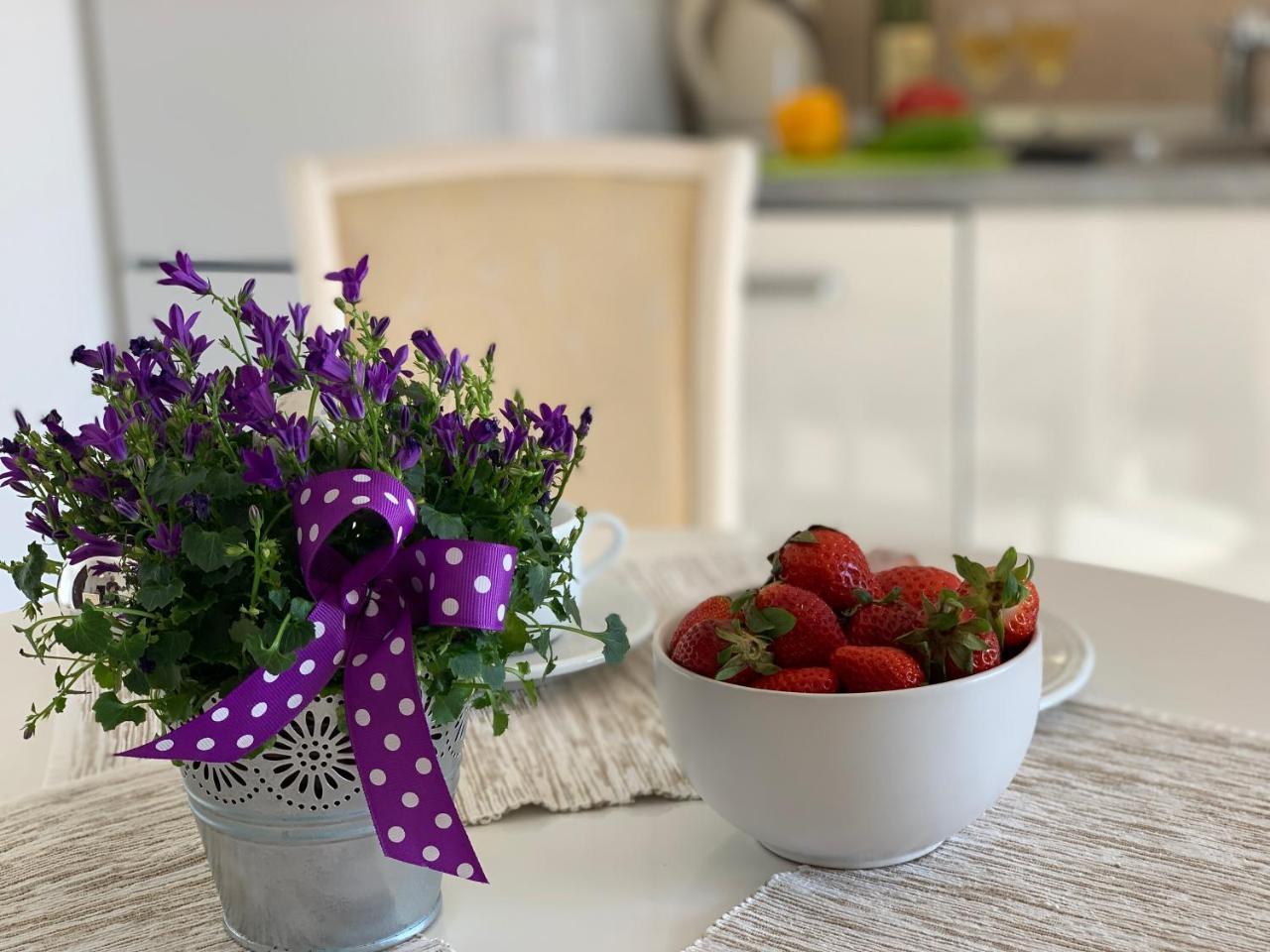 Karina Apartment بودفا المظهر الخارجي الصورة